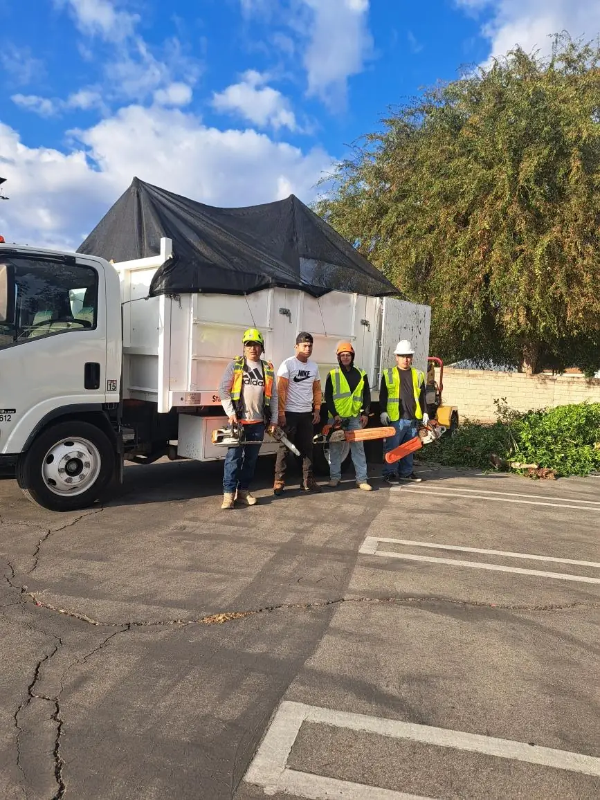 The Lucky7TreeServicesInc crew with chainsaws in front of their truck